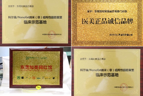 东莞知美医院荣誉