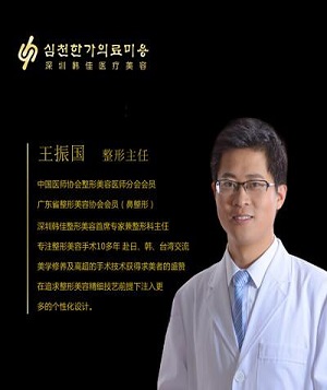 王振国