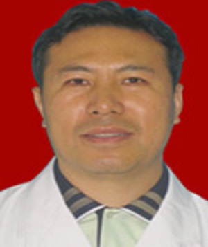 刘海平