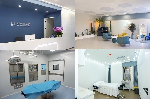 北京冰新丽格环境